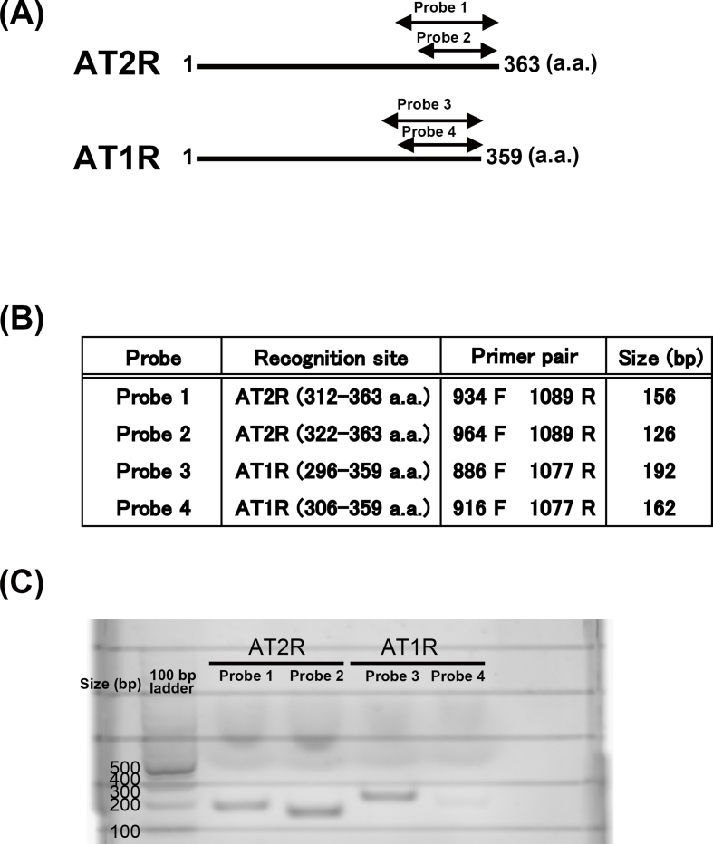 Supplemental Fig. 2