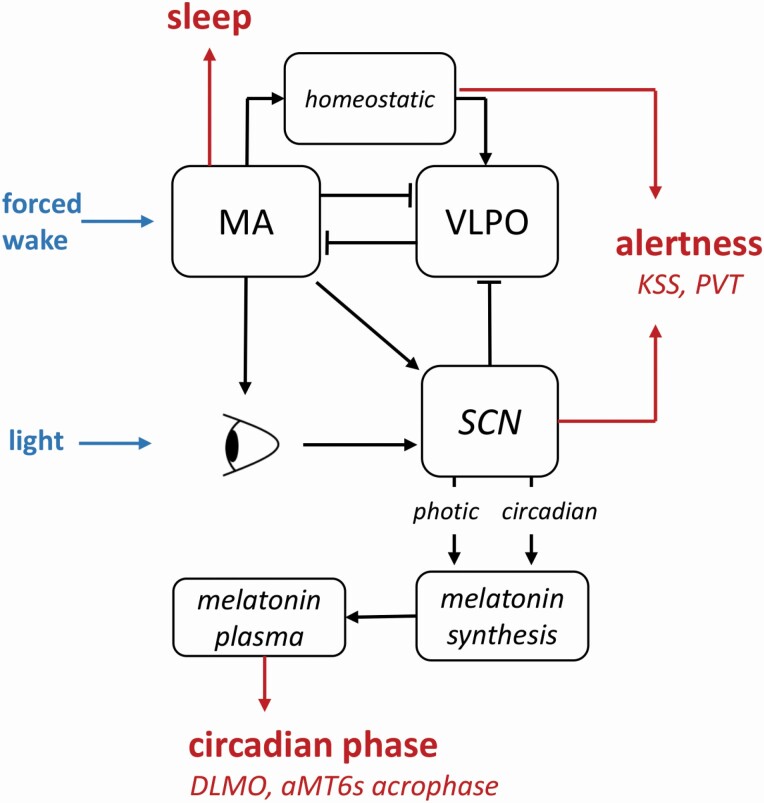 Figure 1.