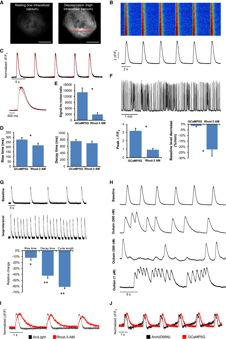 Figure 6