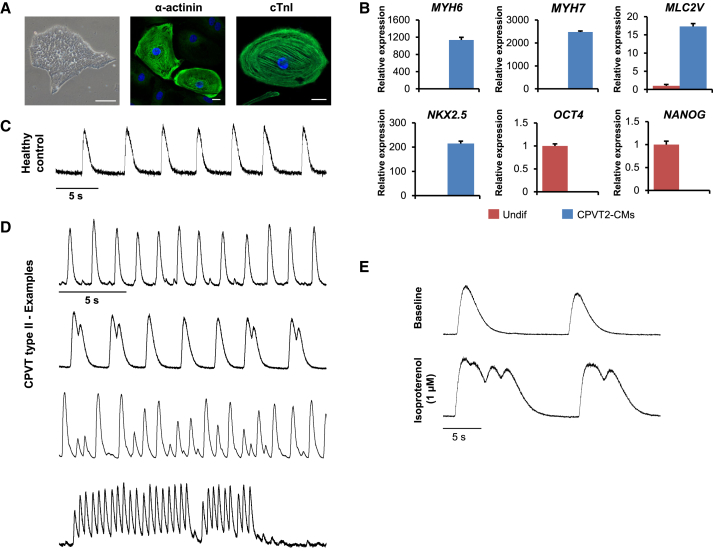 Figure 7