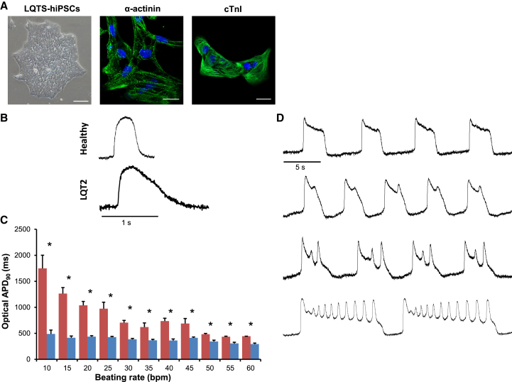 Figure 5