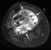 Figure 20b.