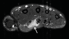 Figure 16c.