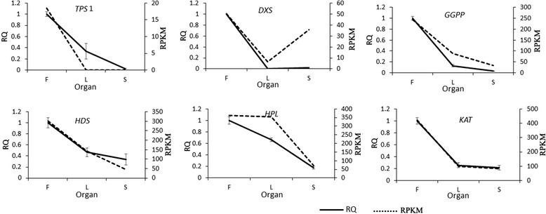 Fig. 7