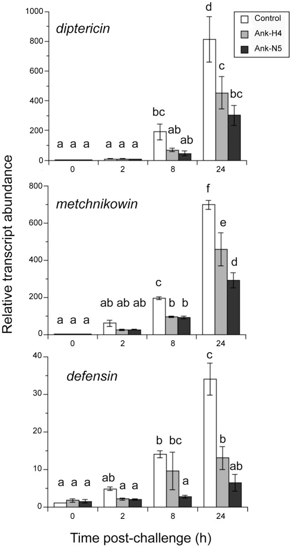 Figure 5