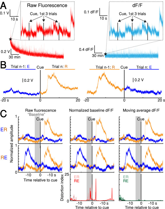 Figure 2—figure supplement 2.