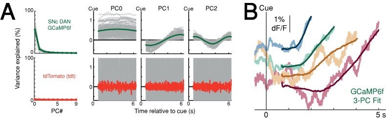 Figure 5—figure supplement 2.