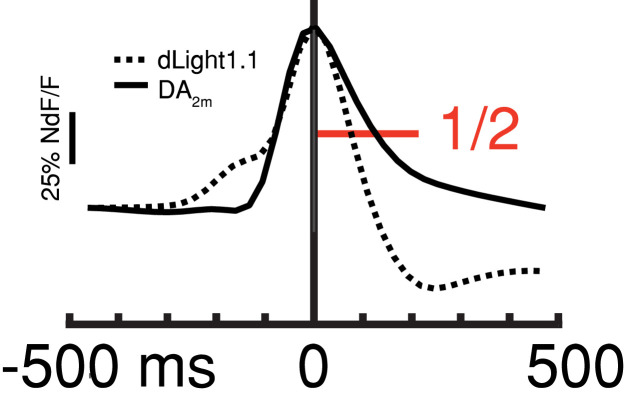 Figure 3—figure supplement 1.