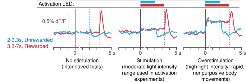 Figure 7—figure supplement 2.