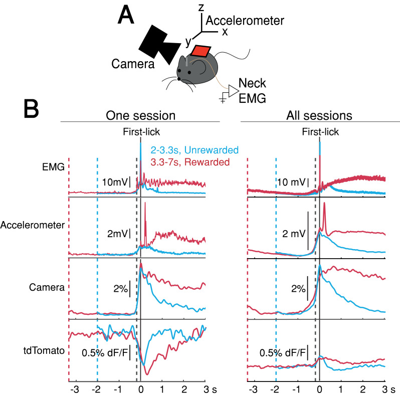 Figure 4.