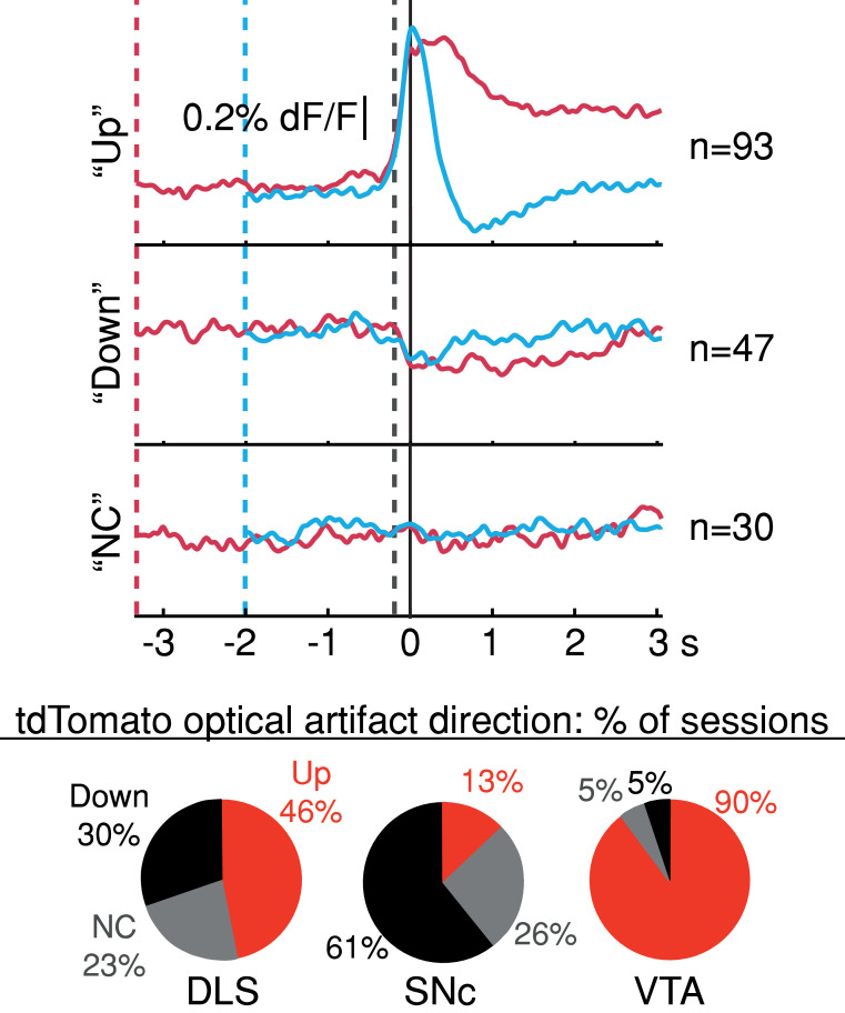 Figure 4—figure supplement 1.