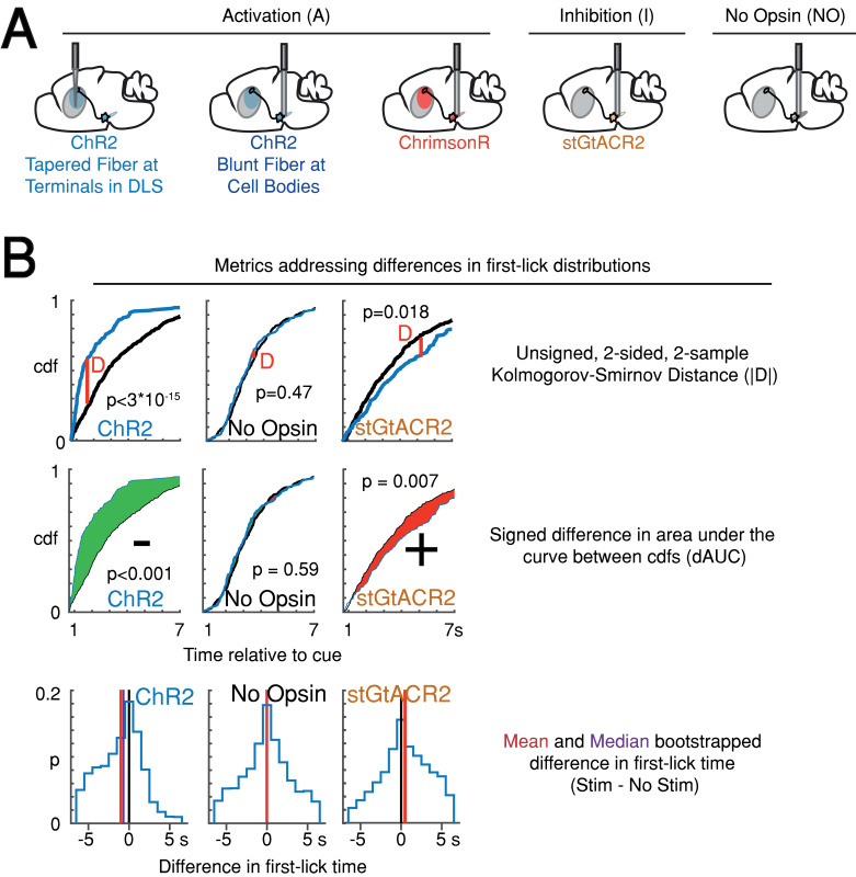 Figure 7—figure supplement 1.