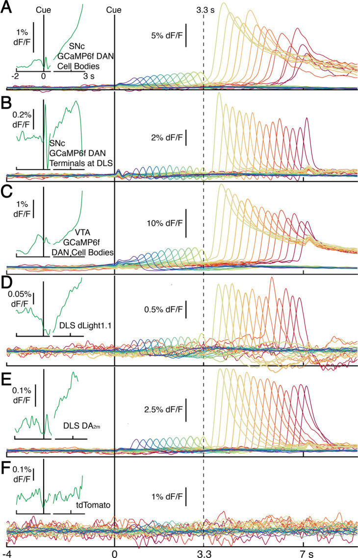 Figure 2—figure supplement 3.