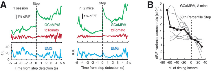 Figure 6—figure supplement 4.