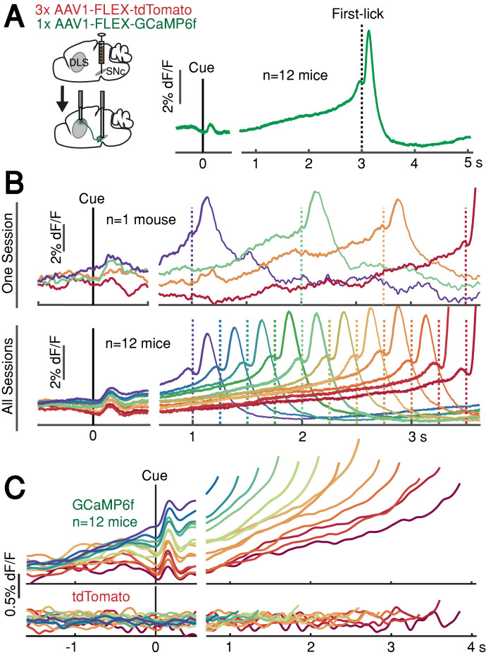 Figure 2.