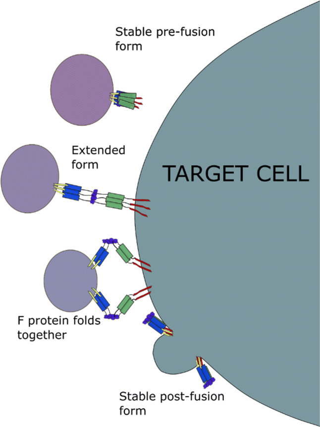 Fig. 4