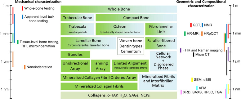 Fig. 12