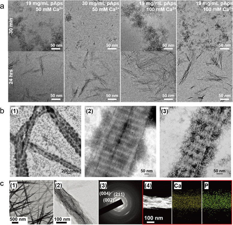 Fig. 10