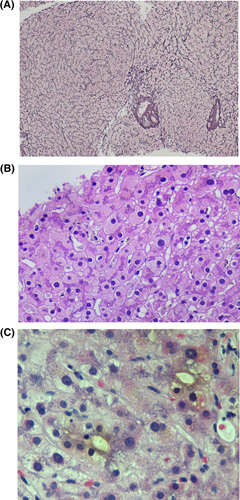 FIGURE 2