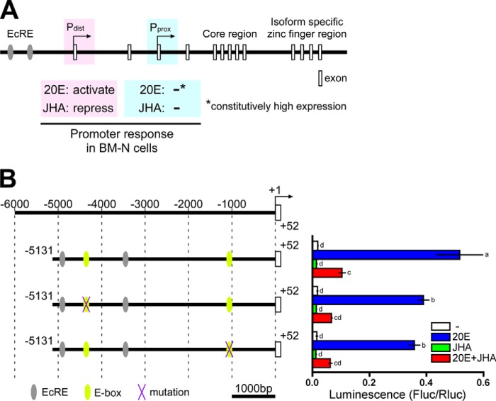 FIGURE 1.