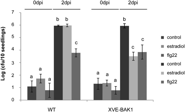 Figure 4.