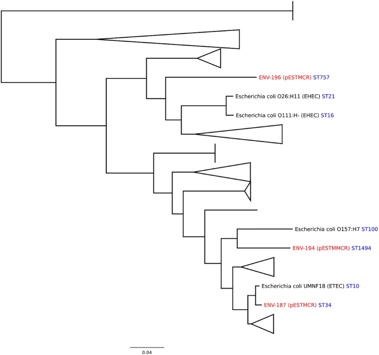 FIG 2