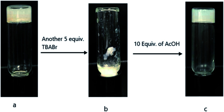 Fig. 11