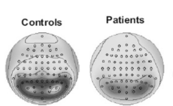 Fig. 5