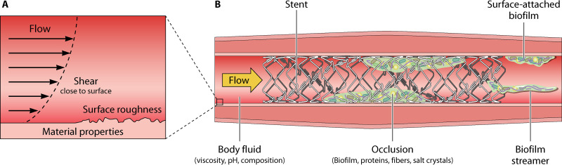 FIG 2