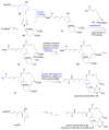 Scheme 3