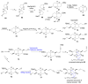 Scheme 7
