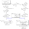 Scheme 6