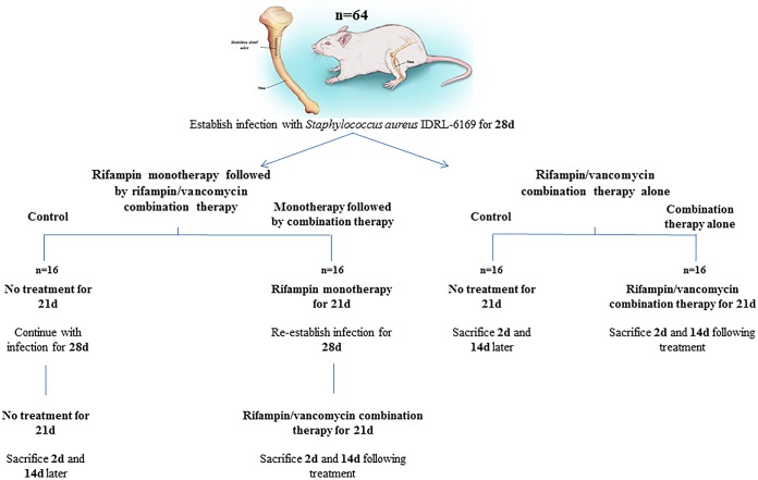 FIG 2