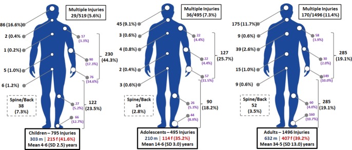 Fig 10