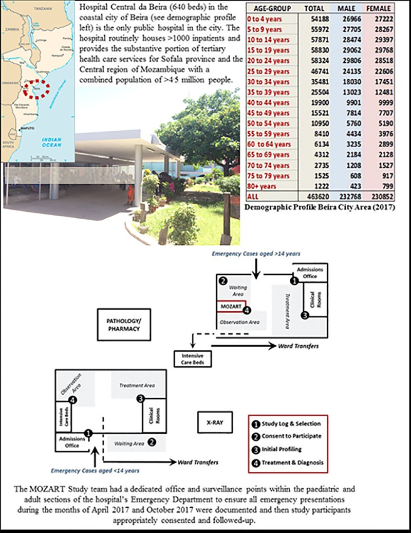 Fig 3