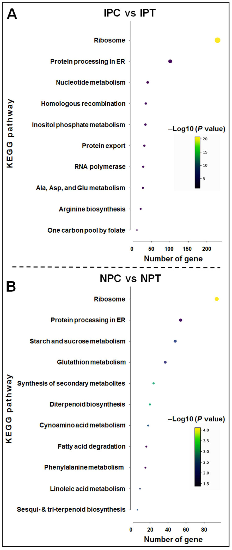 Figure 10