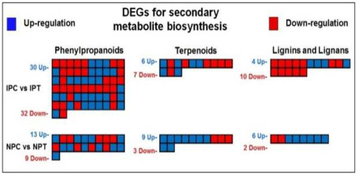 Figure 13