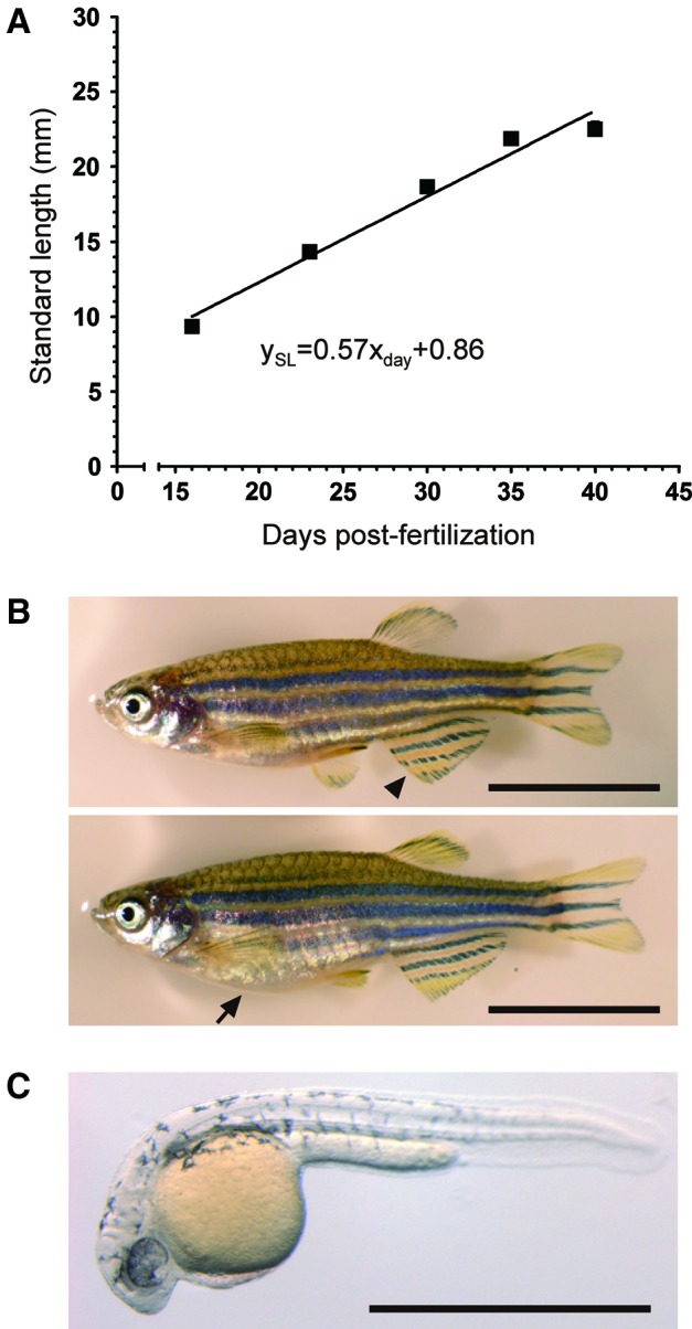 FIG. 6.