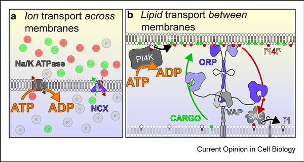 Figure 4: