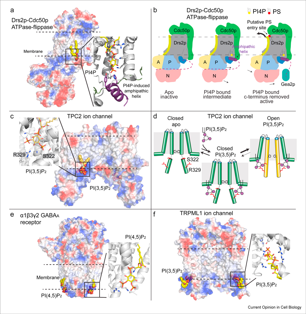 Figure 3: