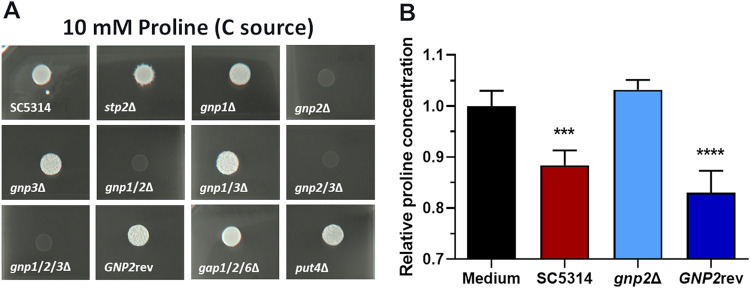 FIG 3