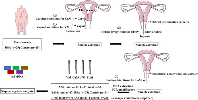 FIG 1