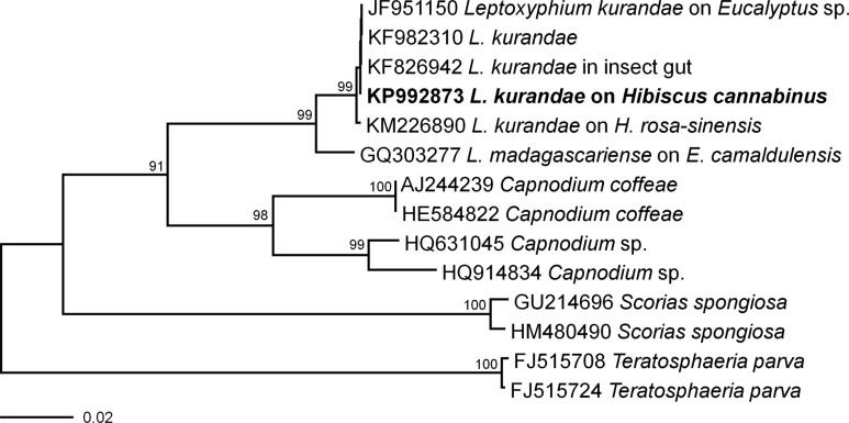 Fig. 2