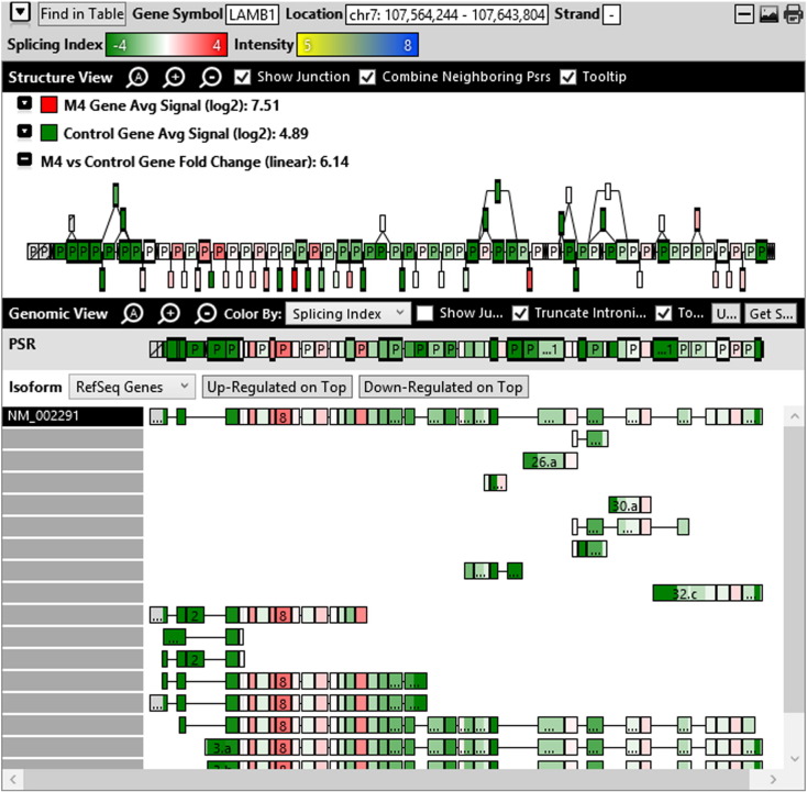 Supplementary Fig. 2