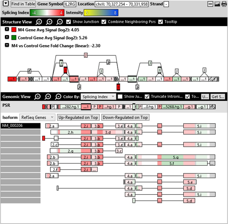 Supplementary Fig. 2