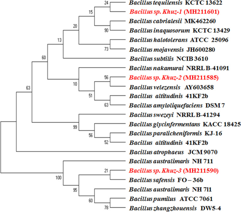 Fig. 2