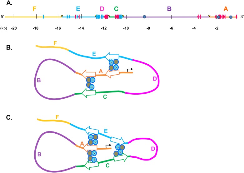 Fig 12