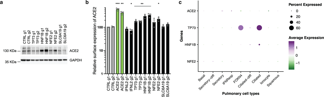 Extended Data Fig. 9