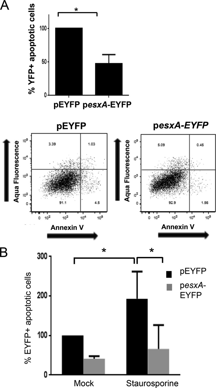 FIG 4