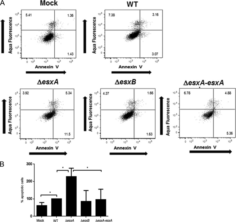 FIG 2